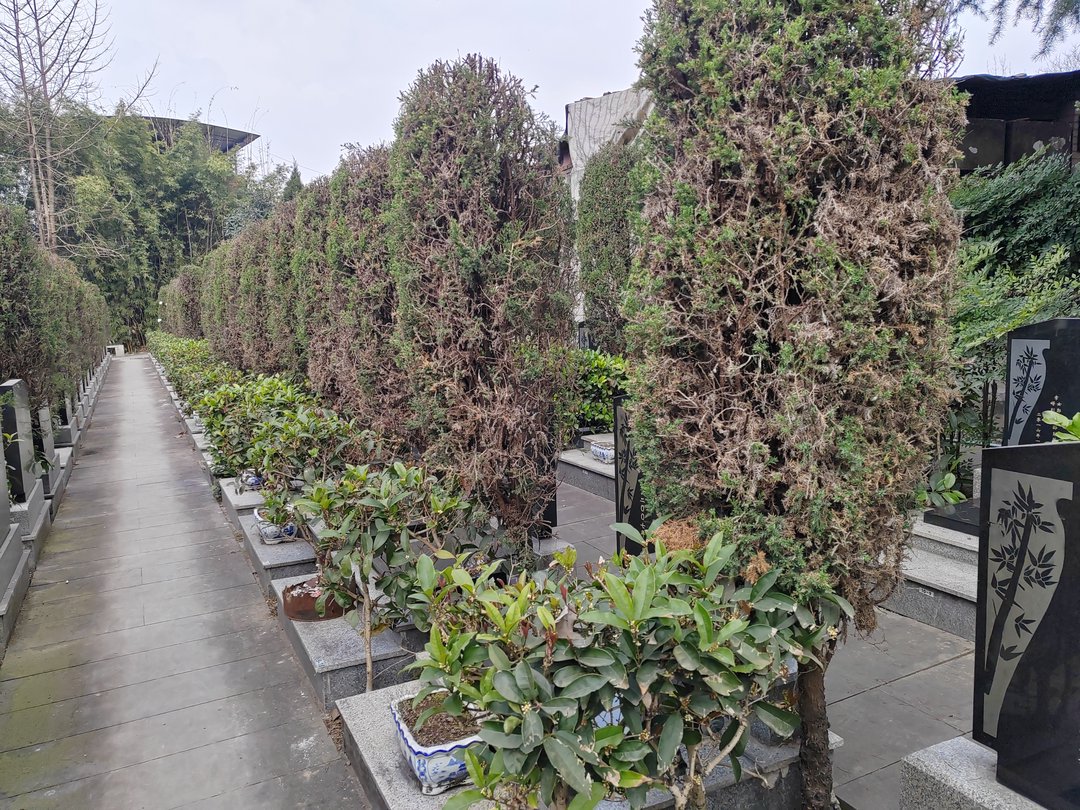 重庆陵园环境
