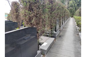 缅怀历史，珍视未来